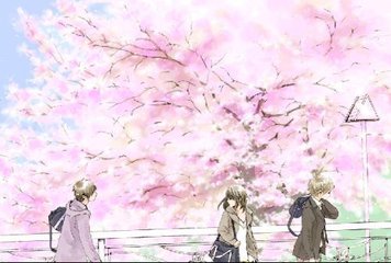 桃花源聚合app